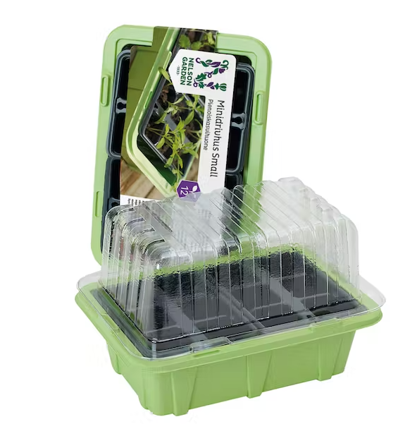 Mini drivhus liten