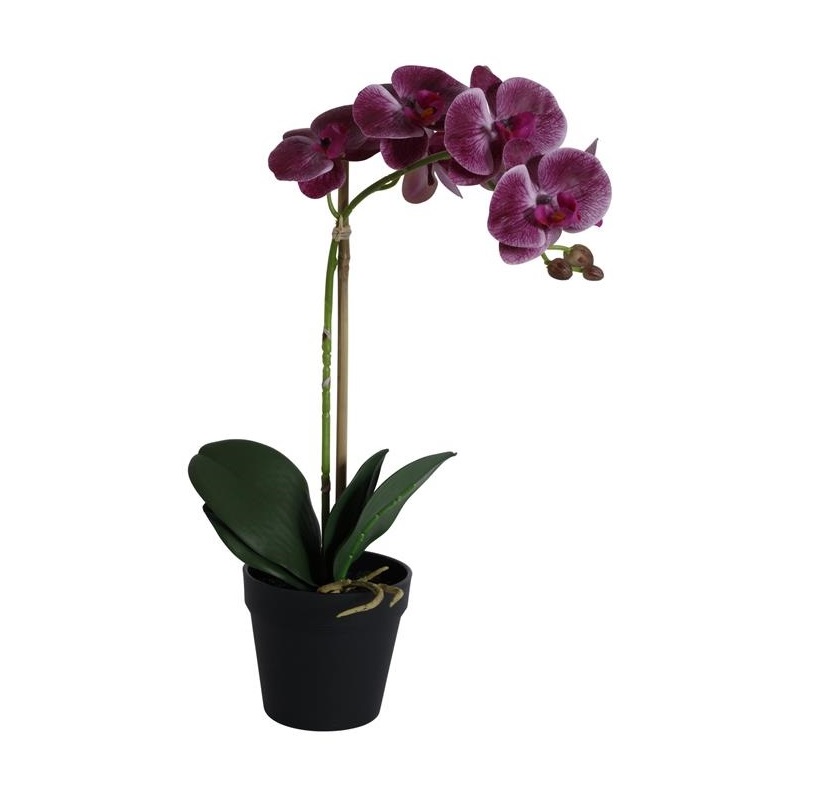 Konstväxt Orkidé i kruka 1 stam H48cm