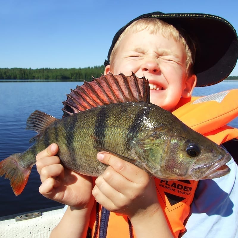 Räddningsväst 830 20-30kg - 2