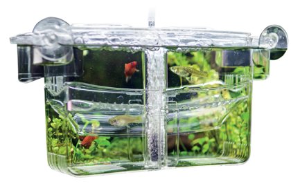 Flytande yngelbox med diffusor,Nido4