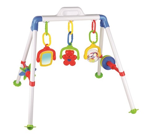 Activity Play Gym