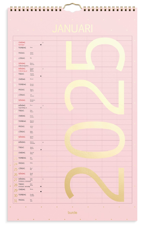 Familjekalender 2025 Color
