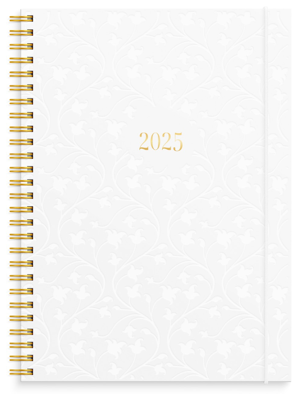 Kalender 2025 Senator A5 Star