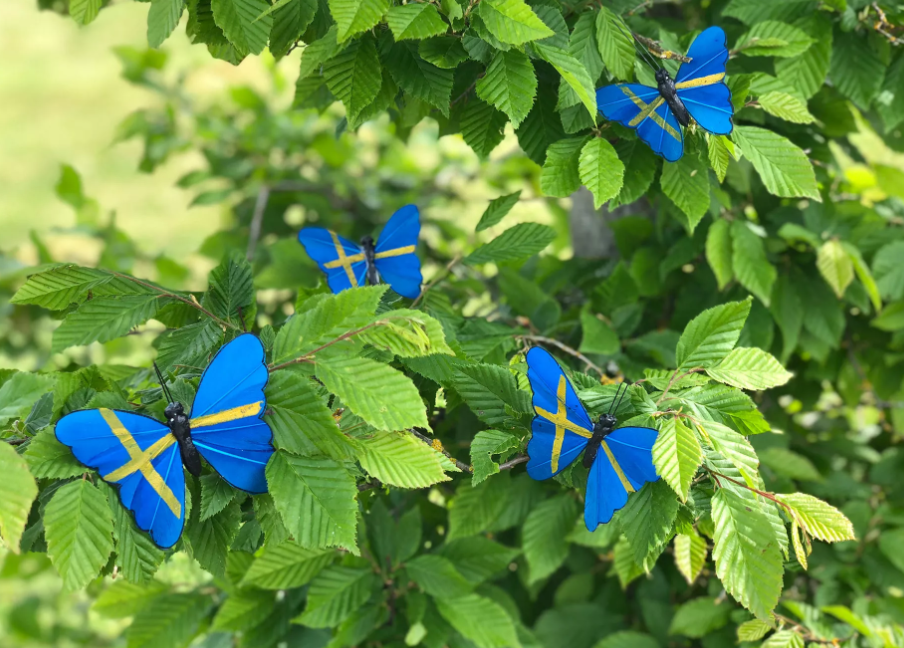 Fjäril Stick Sverige - 4