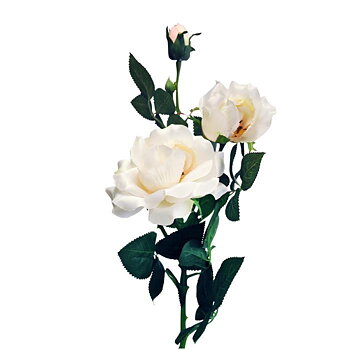 Rosenkvist white/peach