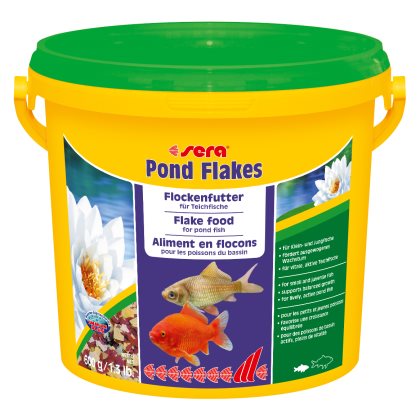 Pond Flingor