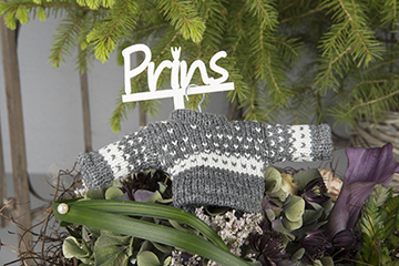 Prins Pinne