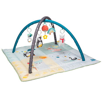 Taf Toys Nordpolen 4 säsong gym