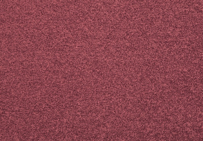 Lounge - 4