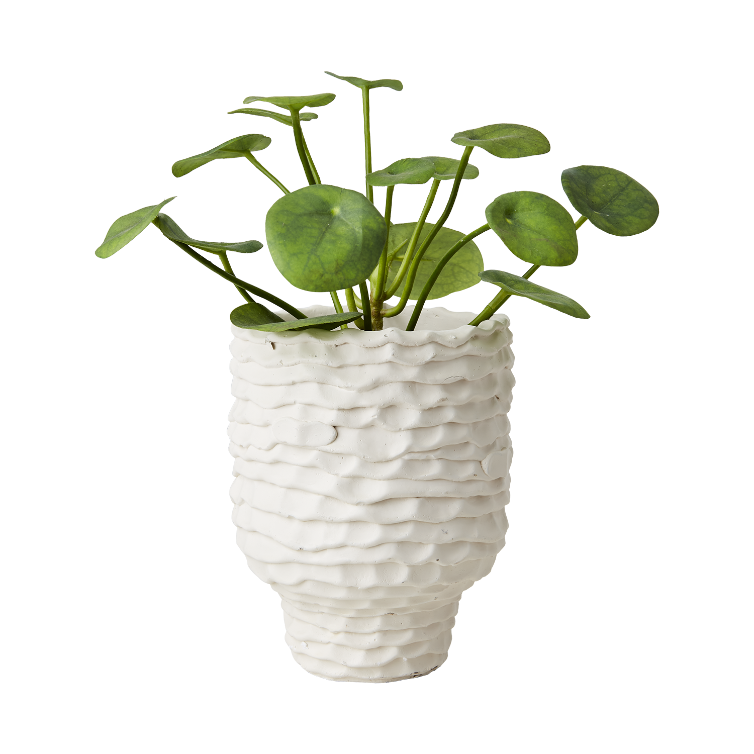 Cream, liten vit kruka i betong med blomma i, från Affari