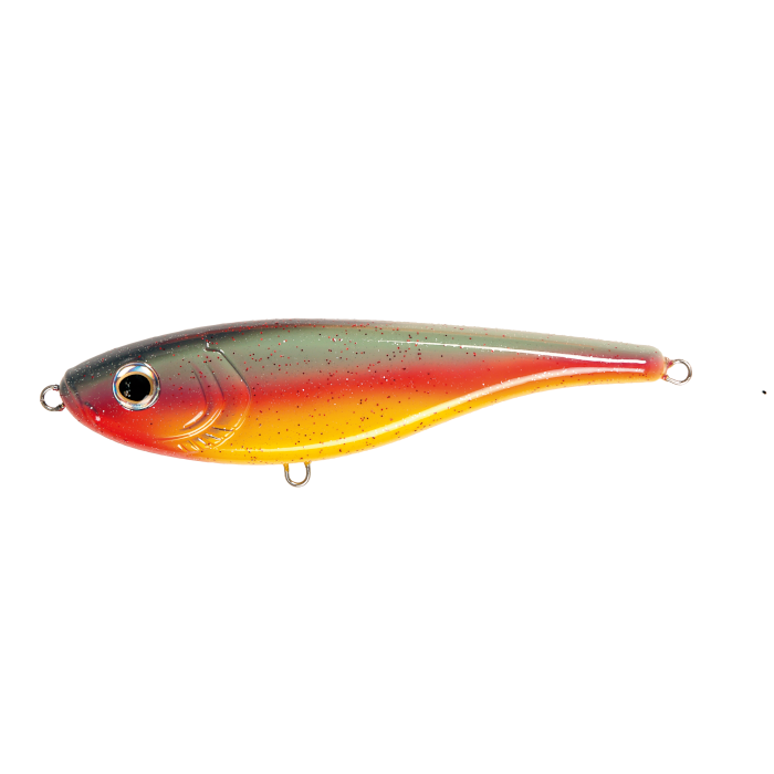 IFISH The Duke - 4