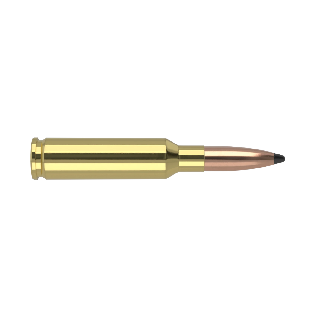 Nosler Ballistic Tip – 30-06 Sprg 165g BT SP