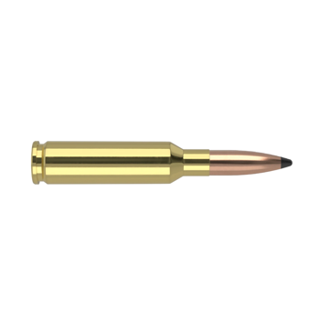 Nosler Ballistic Tip – 308 Win 165 gr