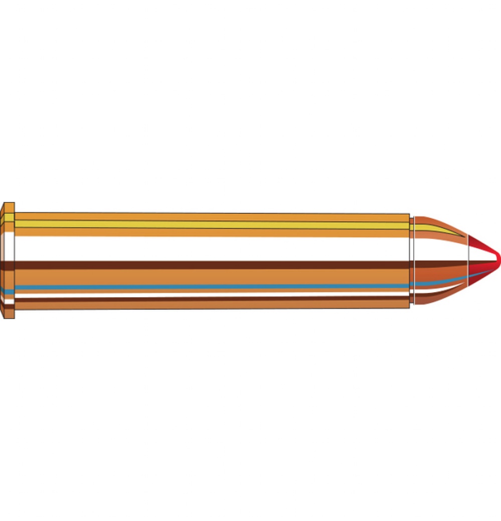 Hornady 45-70 GOVT 325 GR FTX