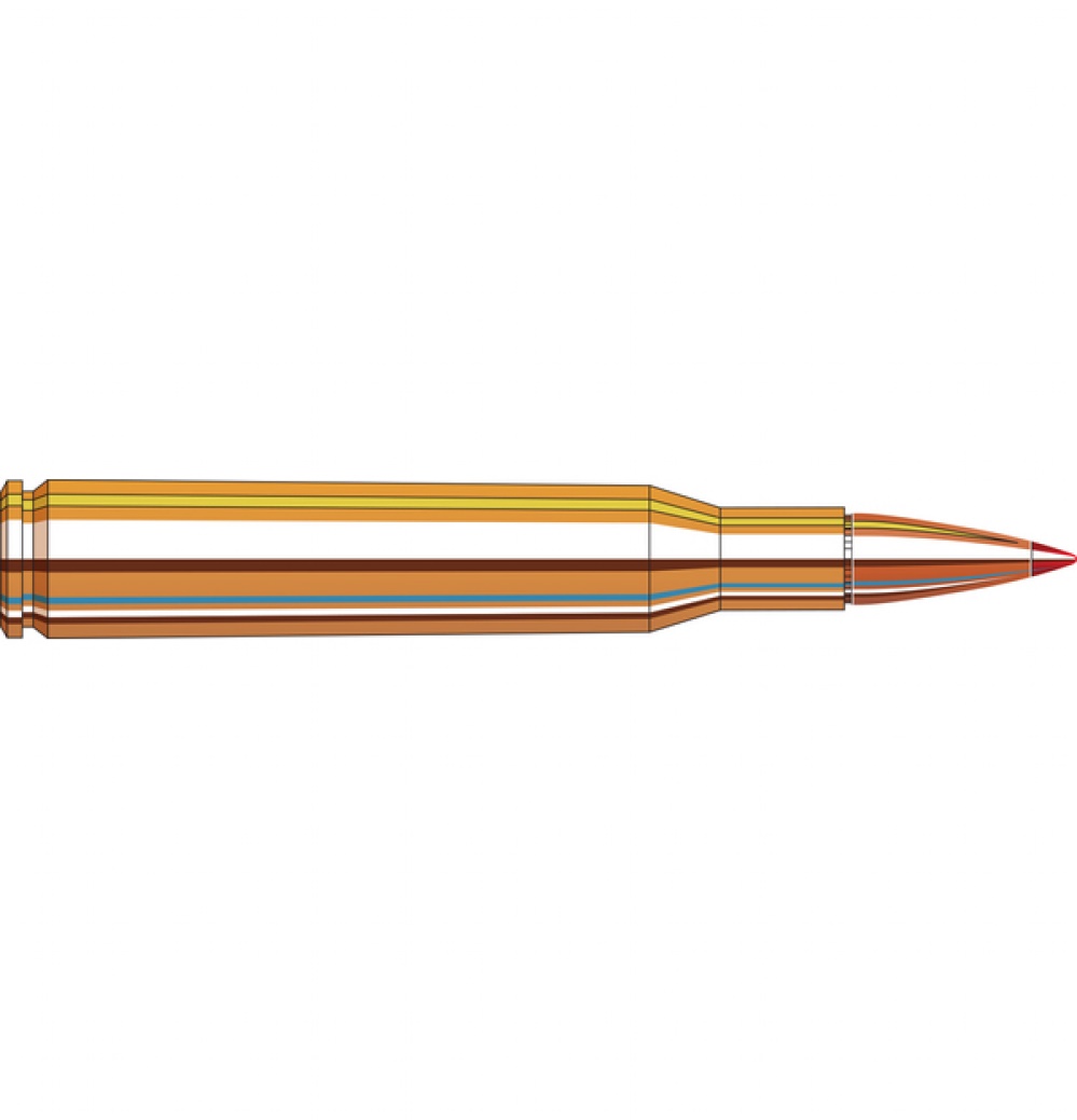 Hornady 270 WIN 140 grain, 9.1 gram SST