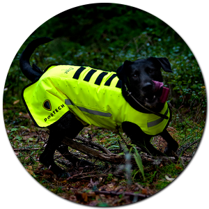 Dogtech One - Orange