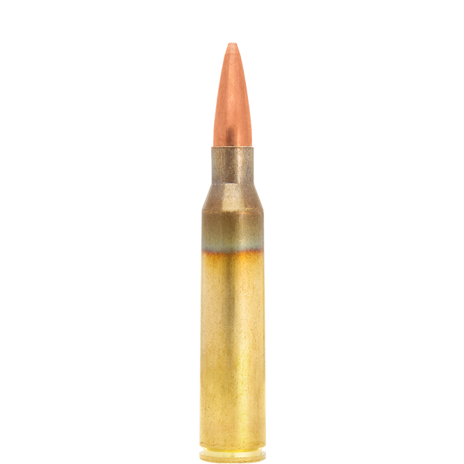 338 Lapua Magnum
