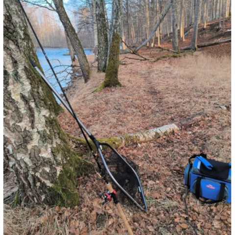 Fiske - Fishing