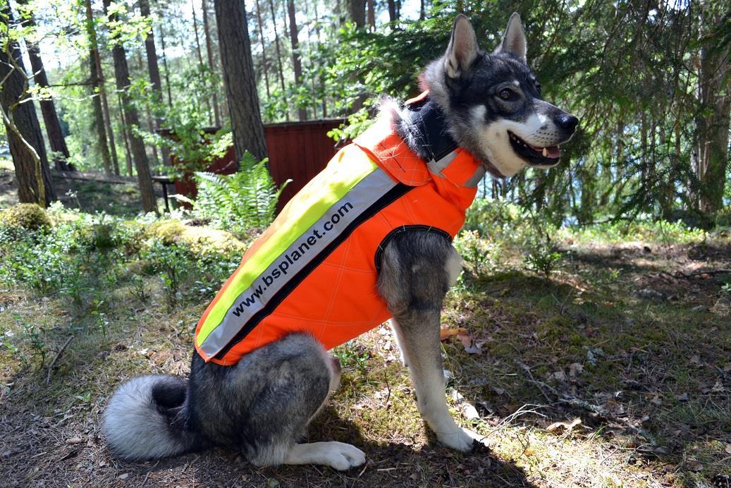 Väst