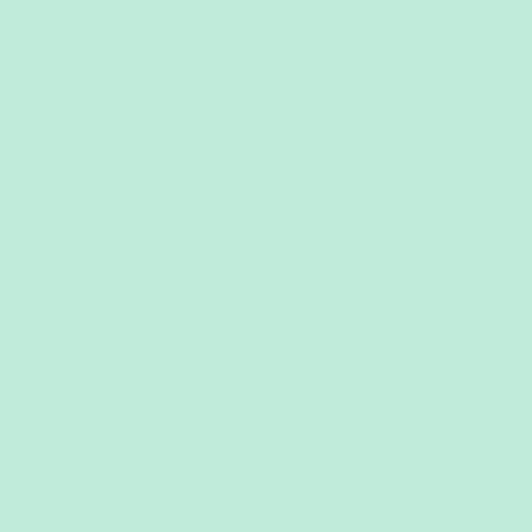 INTERLOCK - MINT (001)