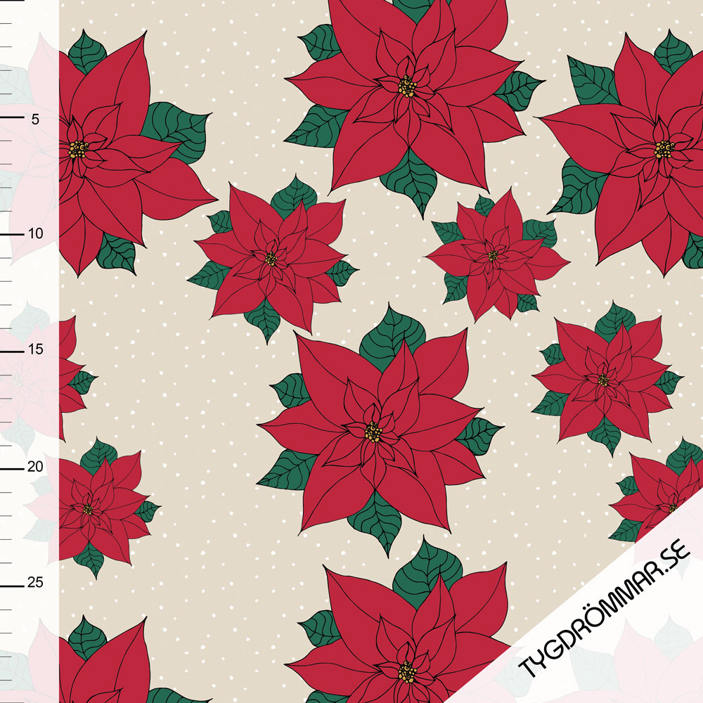 POINSETTIA - SAND