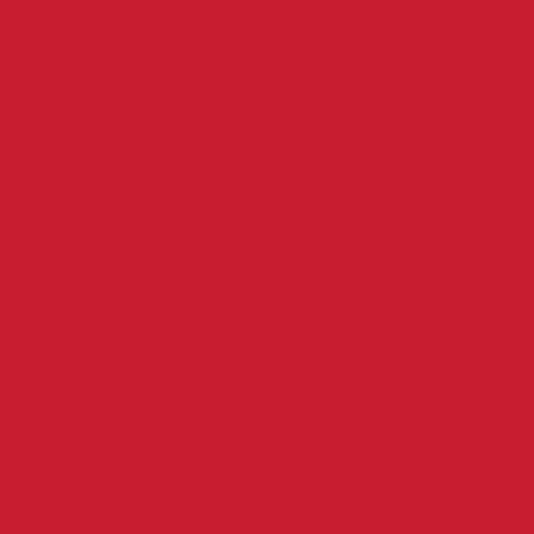 INTERLOCK - RED (019)