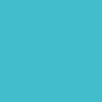 MUDD - TURQUOISE (150CM) (018)