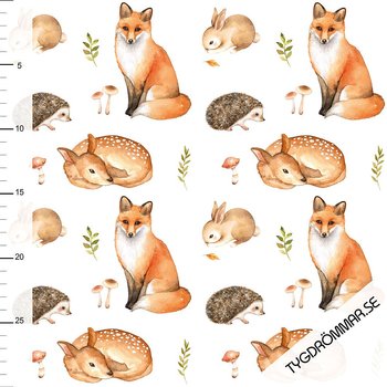 FOX WOODLAND