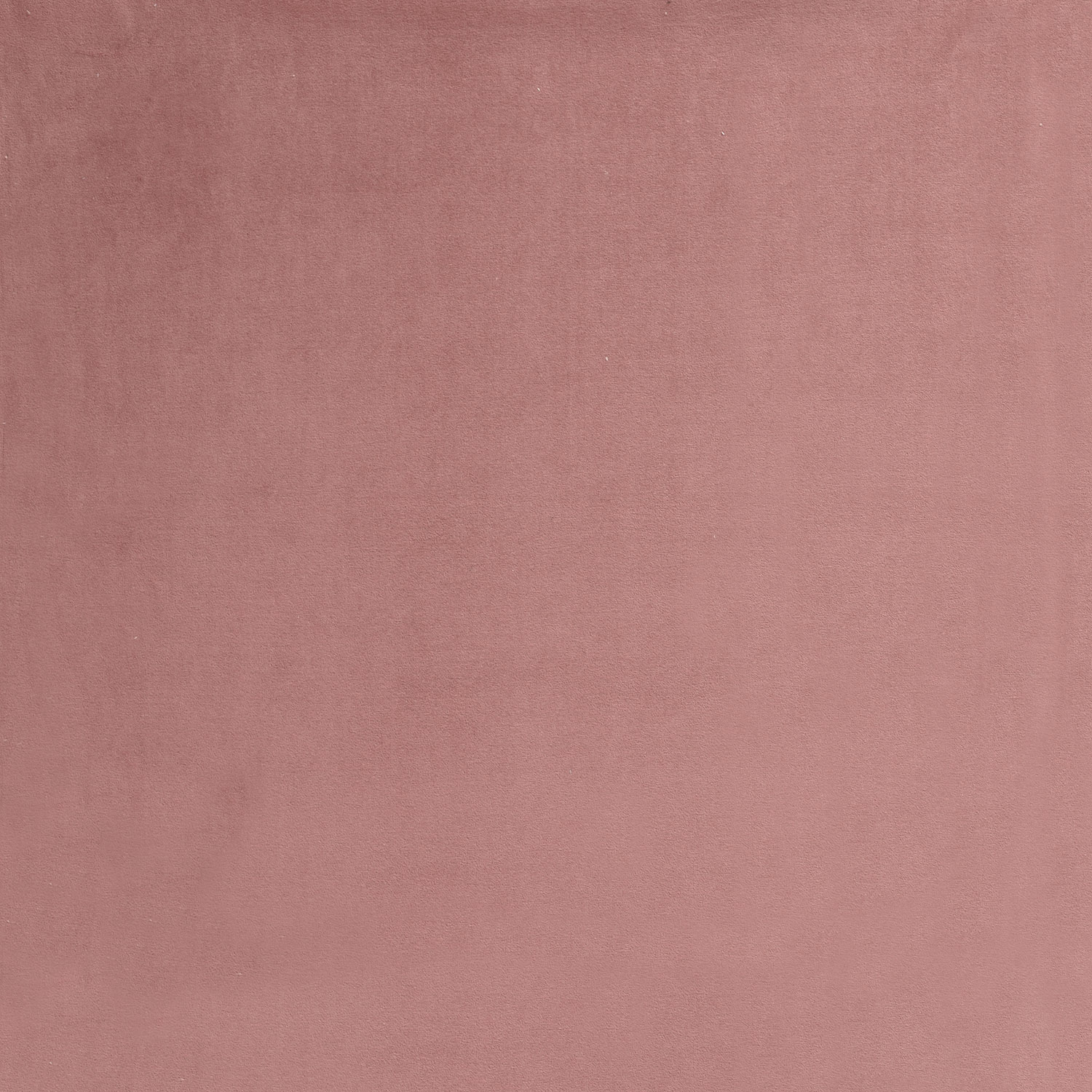 VELOUR -  OLD ROSE - 2