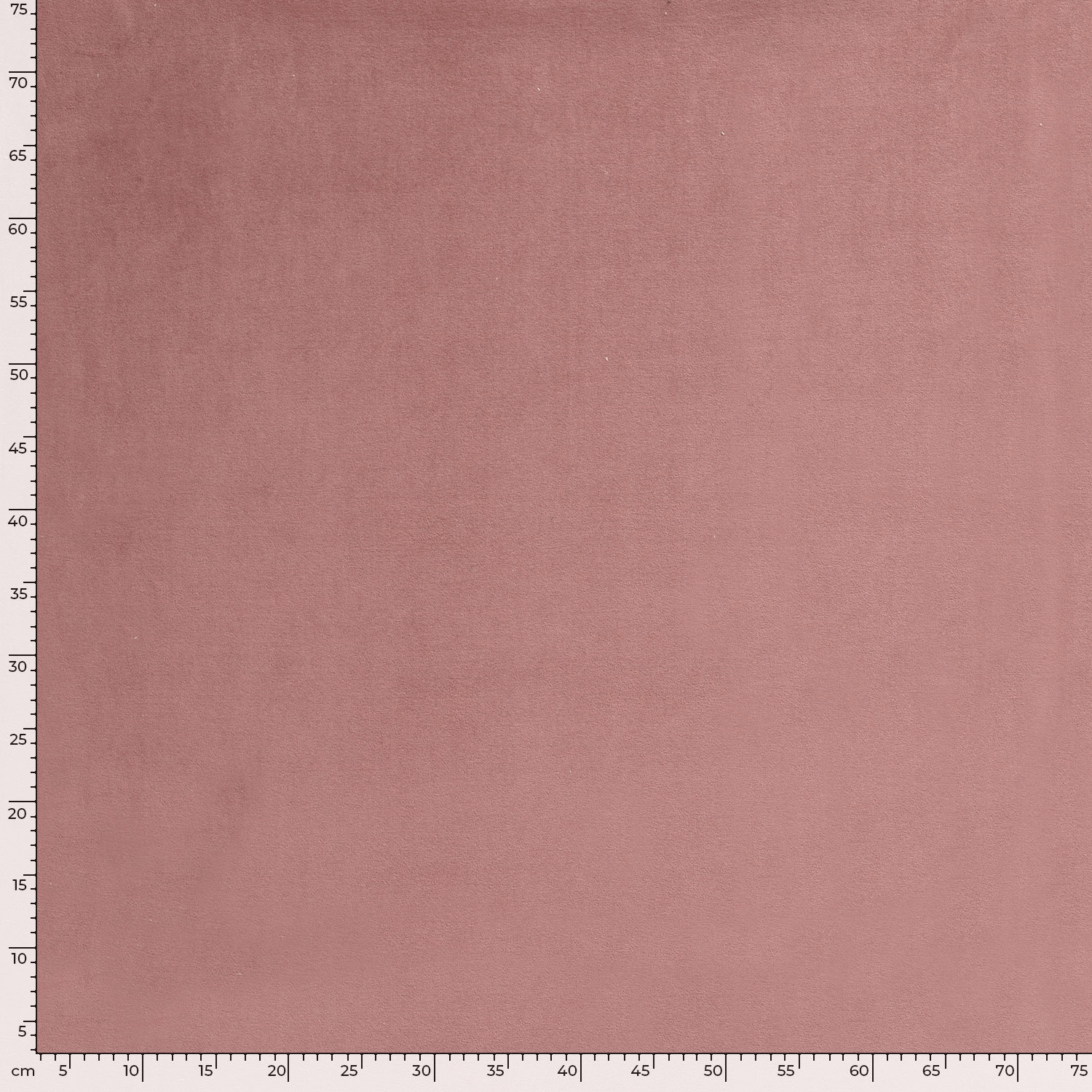 VELOUR -  OLD ROSE - 5