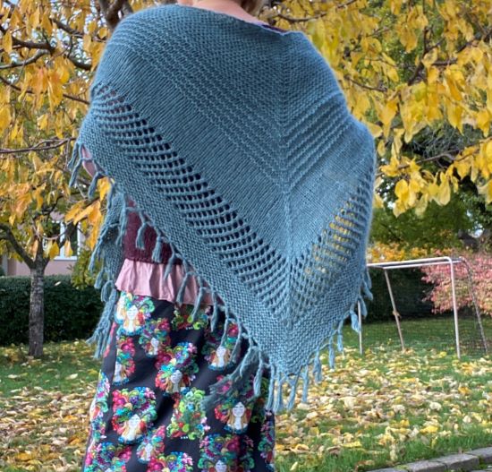Twister Maxi Cozy, pdf - 2