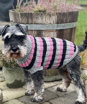 Hundtröjan Trolla, design Miss Nöjd