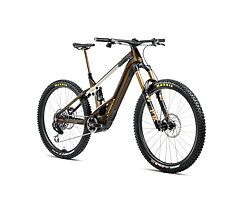 E-MTB