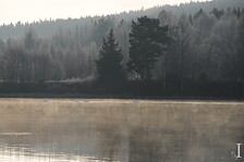 NOVEMBERSVANAR