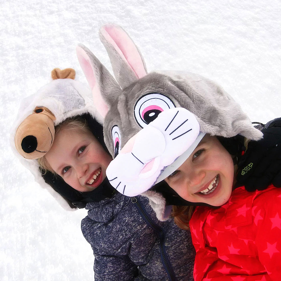 Hoxyheads Rabbit Cover - 2