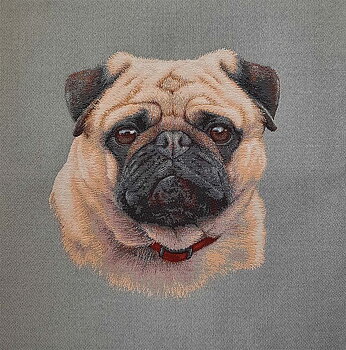 Mops