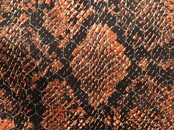 Python Sammet Roströd