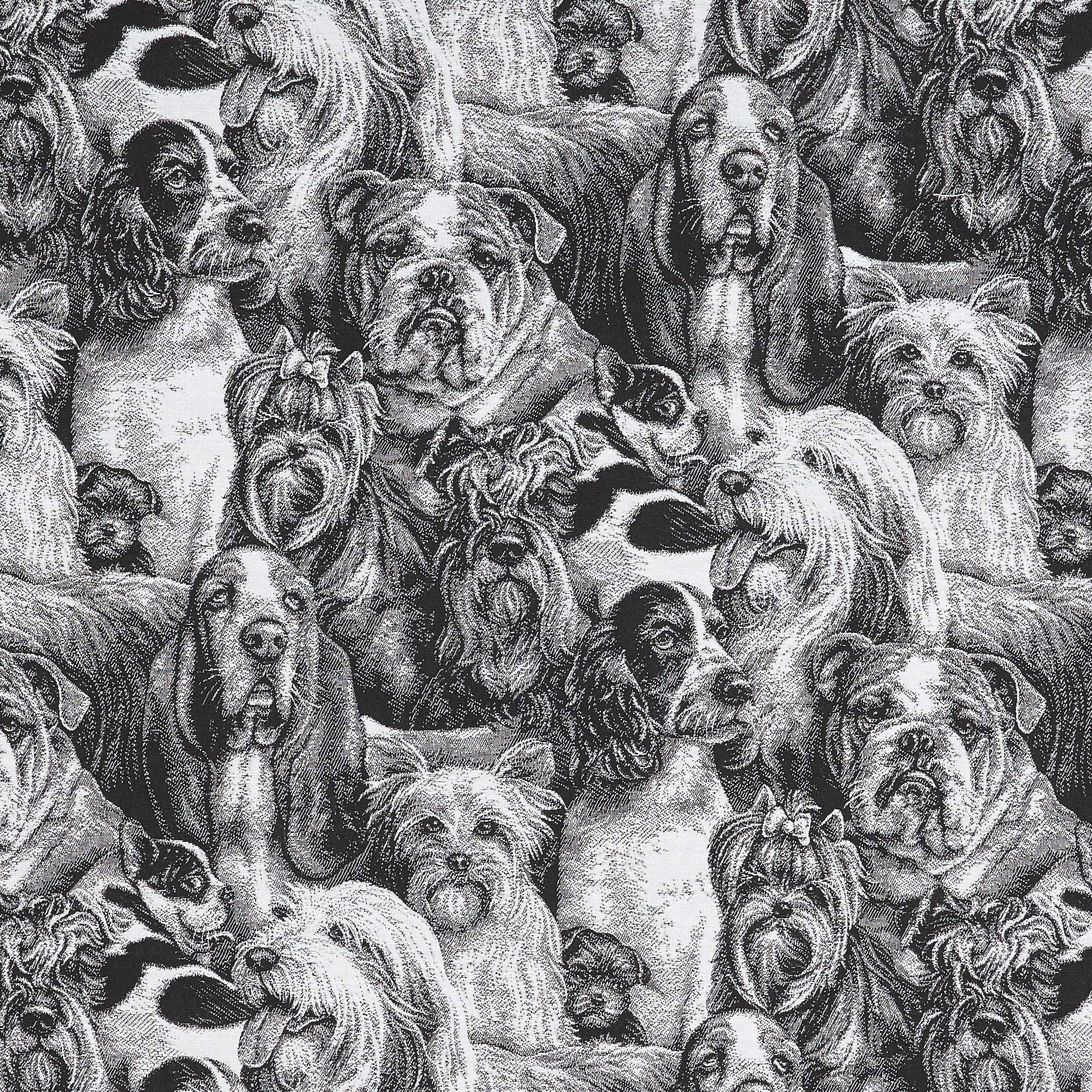 Jacquard Dogs
