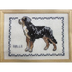 Korsstygn Tavla Hund Senner Benner