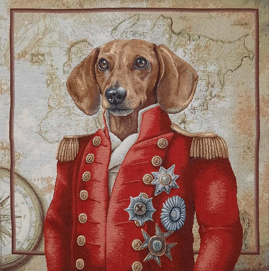 Hund Brittisk Officer