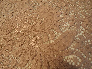 Spets Paisley Rosa