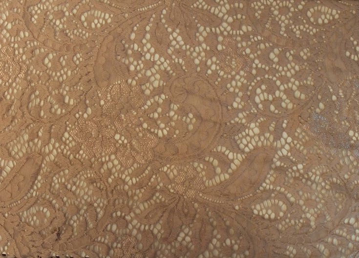 Spets Paisley Rosa