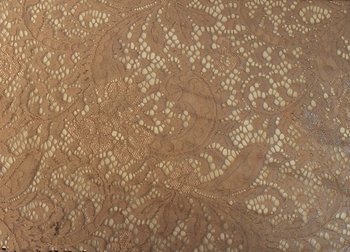 Spets Paisley Rosa