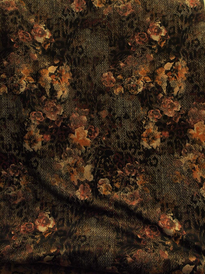 Leopard Rose - 2
