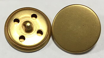 Knapp Karoliner Guld 20