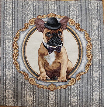Sir Fransk Bulldog