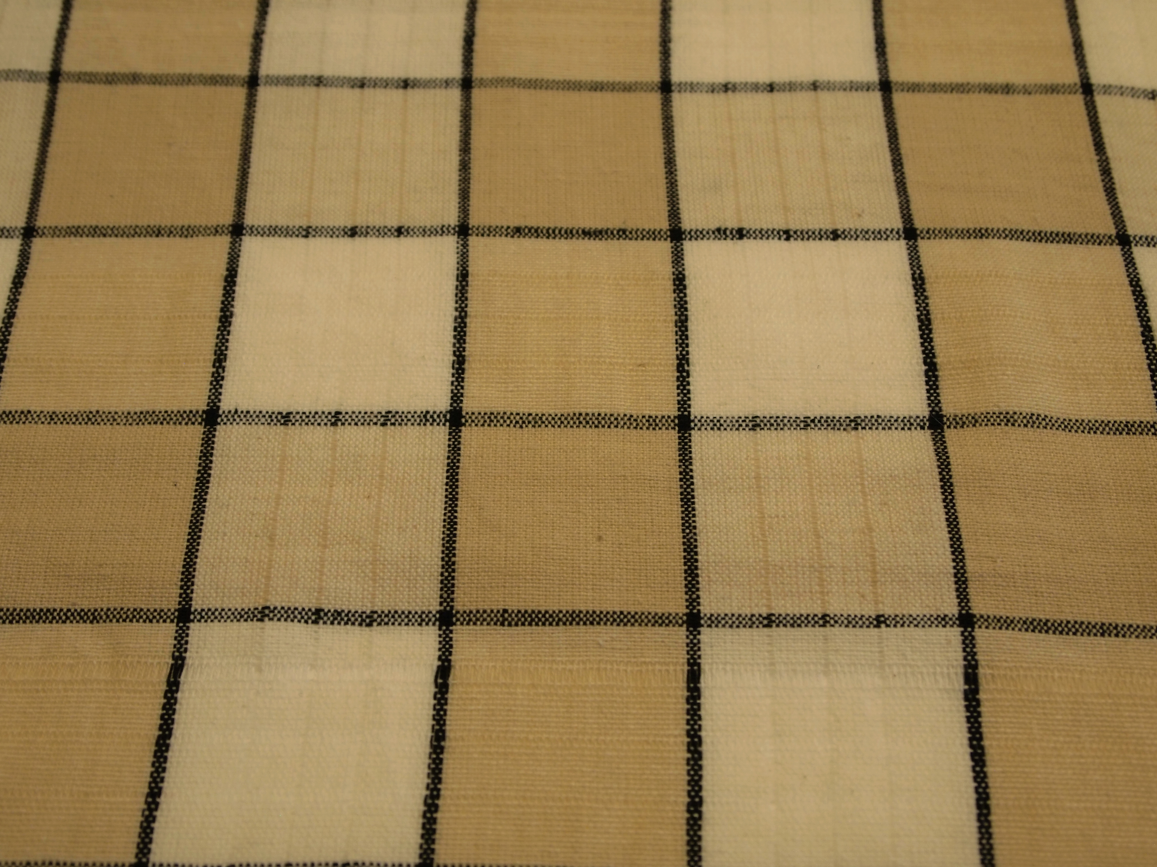 Indisk bomull Beige Rutig
