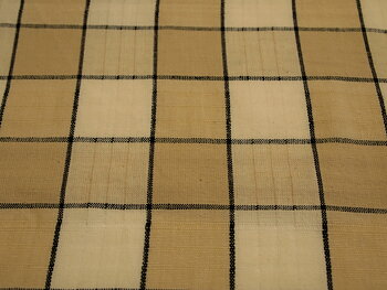 Indisk bomull Beige Rutig