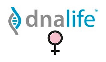 Support DNA-analys Östrogen