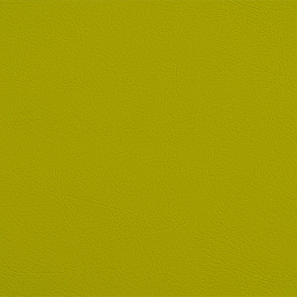 Valencia Avocado